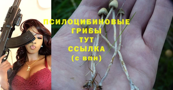 COCAINE Верея